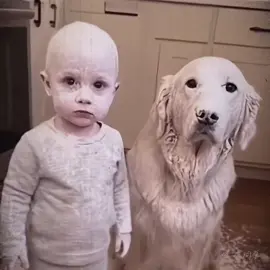 狗子：你看着我的眼睛再指！ #搞笑视频 #名场面 #灵魂画手 #难以置信 #我要上热门🔥