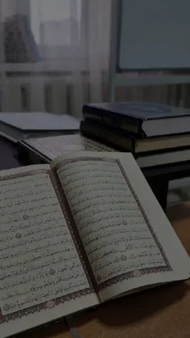 #يوسف_العيدروس_القران_الكريم #القرآن_الكريم #تلاوة_خاشعة #تلاوة_قرآنية #راحة_نفسية 