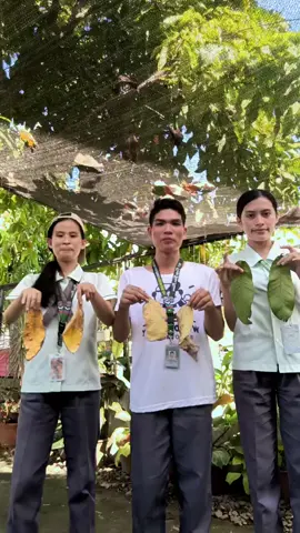 @alisha @chadroy23 jovan HAHAHAHHA