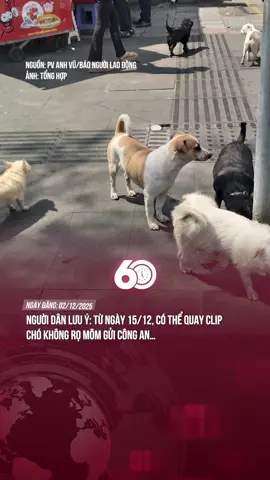 QUY ĐỊNH MỚI, MỌI NGƯỜI LƯU Ý #theanh28 #60giay #tiktoknews