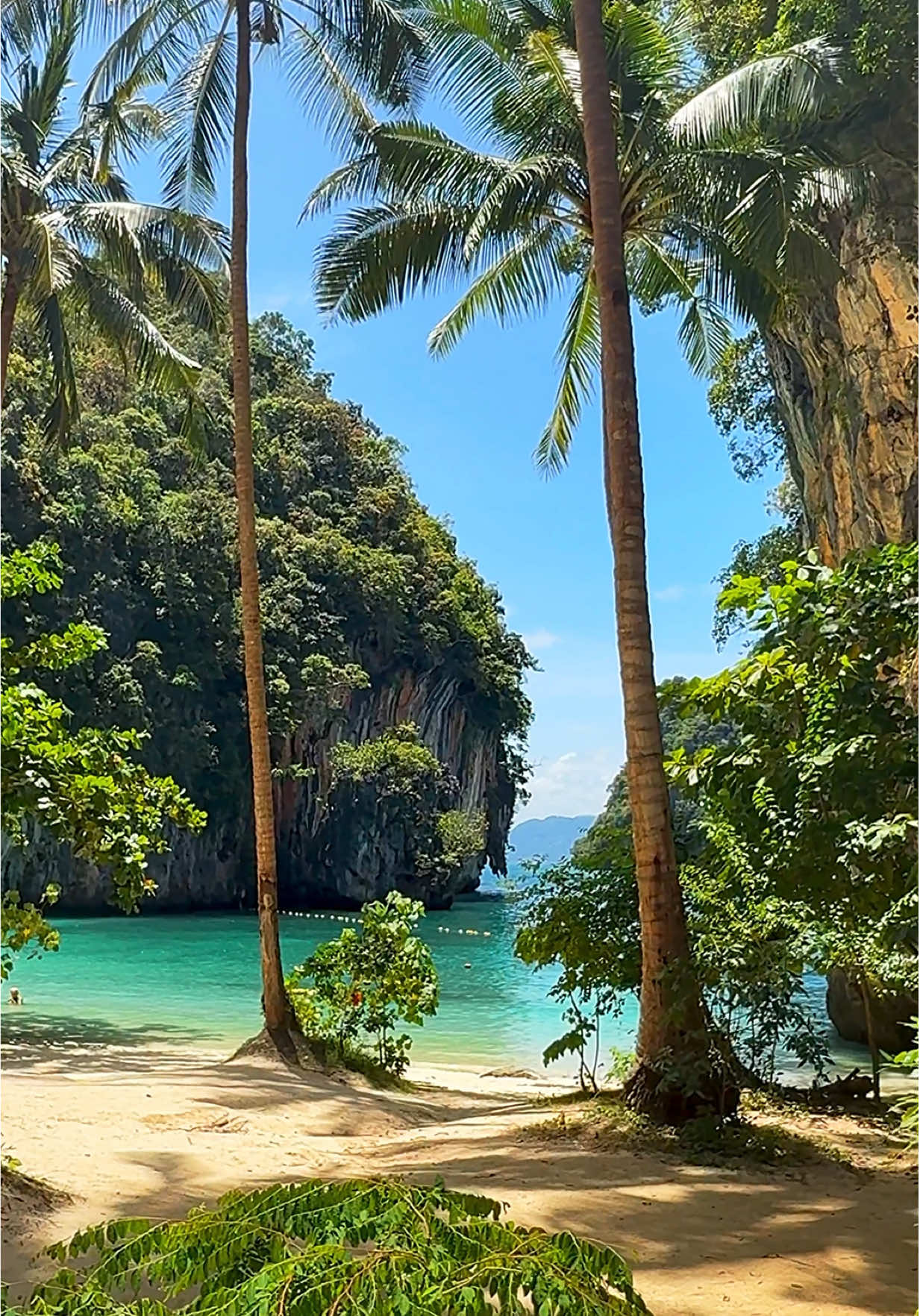 Paradise views under the palms 🌴🏝️ 📍Koh Lao Lading - Krabi , Thailand 🇹🇭  . . #thailand #beachvibes #islandlife #tropical #nature 