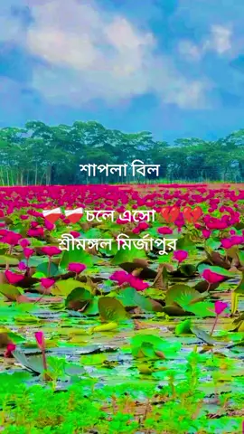 #🌹🌹🌹🌹🌹🌹🌹🌹🌹🌹🌹🌹🌹🌹🌹🌹🌹🌹🌹🌹🌹🌹🌹🌹🌹🌹🌹🌹🌹🌹🌹🌹🌹🌹🌹 #গুডবাই মির্জাপুর#🌹🌹🌹🌹🌹🌹🌹🌹🌹🌹🌹🌹🌹🌹🌹🌹🌹🌹🌹🌹🌹🌹🌹🌹🌹🌹🌹🌹🌹🌹🌹🌹🌹🌹🌹 
