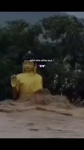 | ලෝකයේ තවමත් 