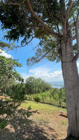 Indahnya #fyp #jayapura #jayapuratiktok #wisatapapua 