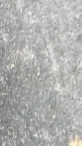 #5tpmenolakpunah #5tpgank🚀 #jupiterz #fyppppppppppppppppppppppp 