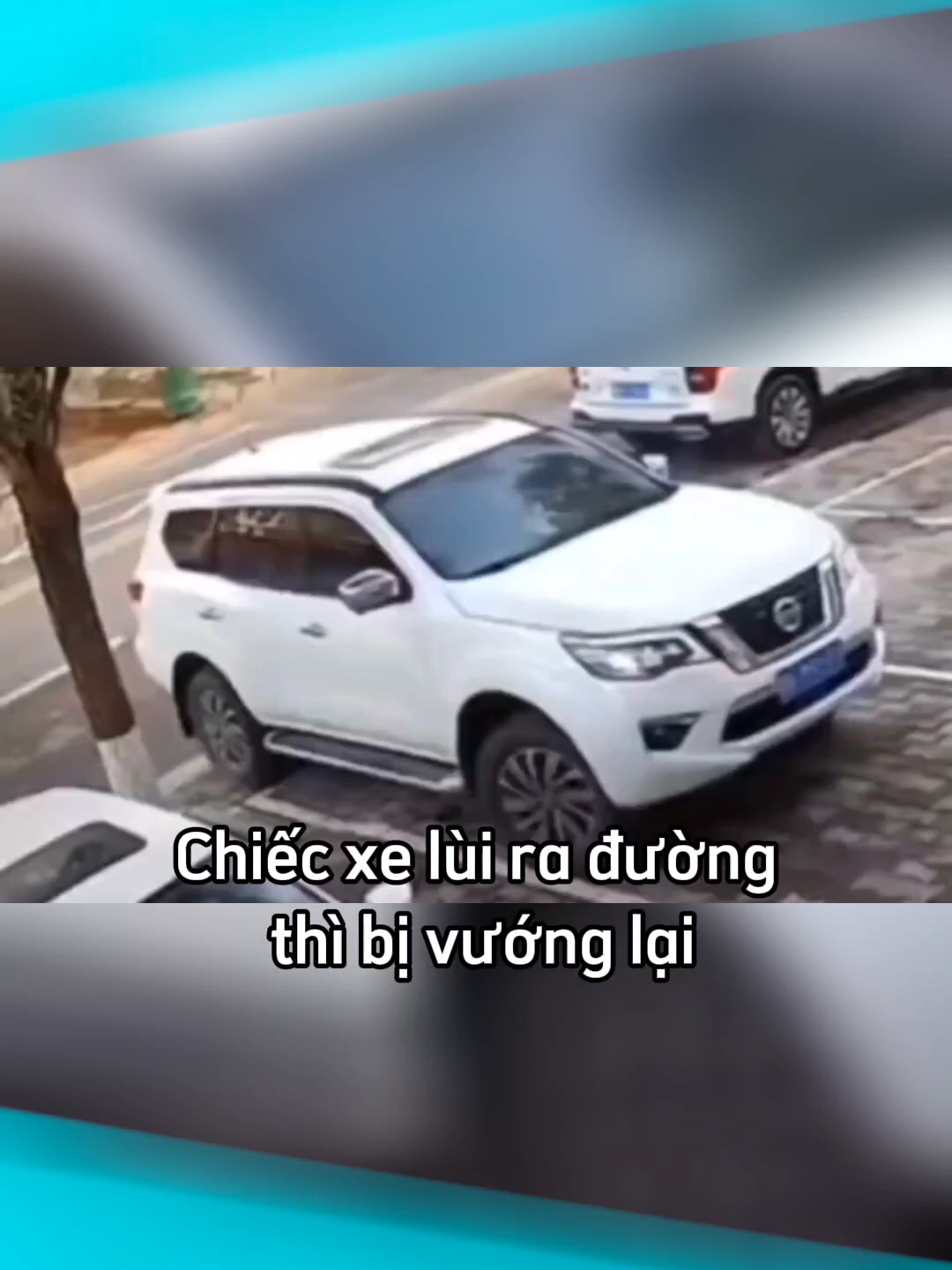 Buồn của cái cây 😭 #laonap