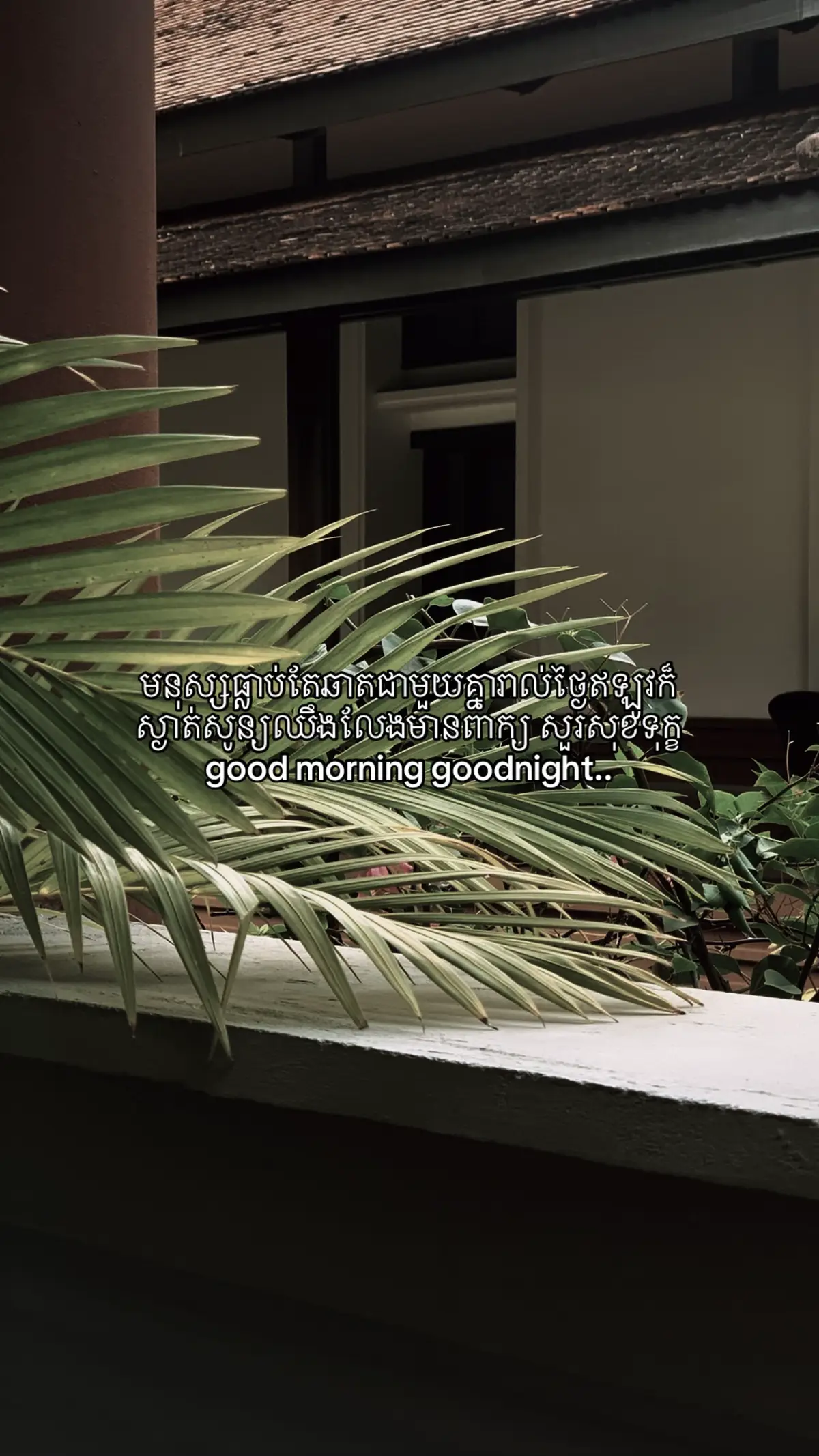 Miss memories#fyppppppppp 