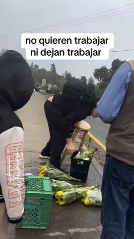 no quieren trabajar ni dejan trabajar a la raza#fy #f #fyp 