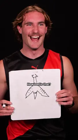 They tried 😂 #afl #footy #drawing 