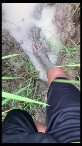 Nyuwun welas asihe panjenengan gusti 🌾 #petanimuda #petanimilenial #petaniindonesia🇮🇩🇮🇩🇮🇩🌿🌿 #gabahbalap🌾 #petanibojonegoro 