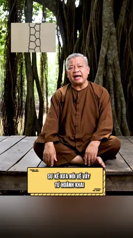 Vảy tứ hoành khai trong mắt ae sư kê xưa #kinhnghiemnuoiga #xuhuong #xuhuongtiktok 