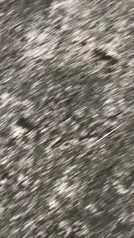 . #vario125new #hehestyle #ogahjinjitstyle #fyp 