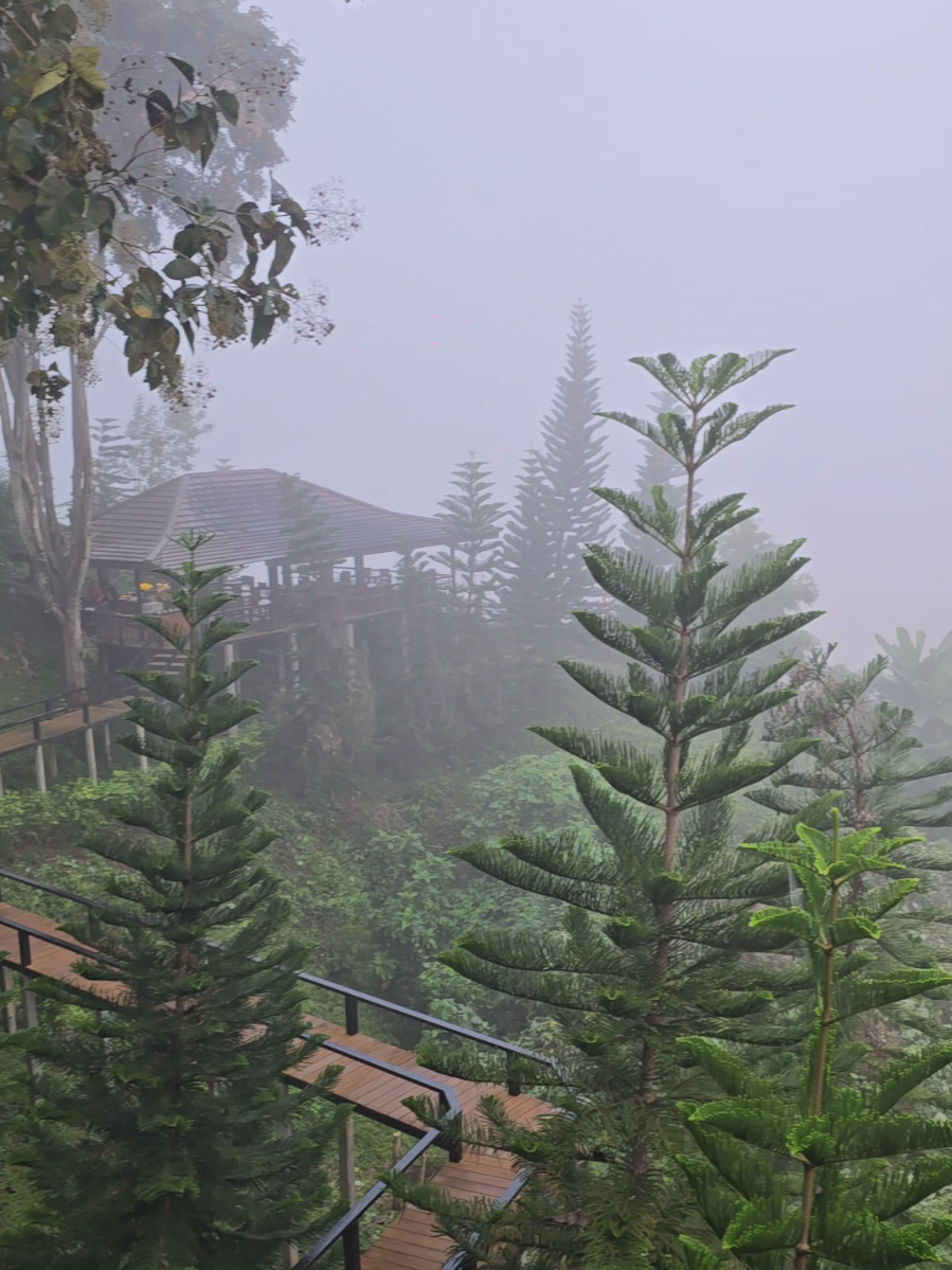 #ธรรมชาติบําบัด🍃 #เลย #วิวสวย #เชียงคาน 