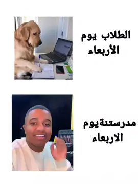 منو سفرتهم الأربعاء#تصميم_فيديوهات🎶🎤🎬تصميمي🔥 #fyp #مالي_خلق_اصمم #حسوني_المصمم #explore 