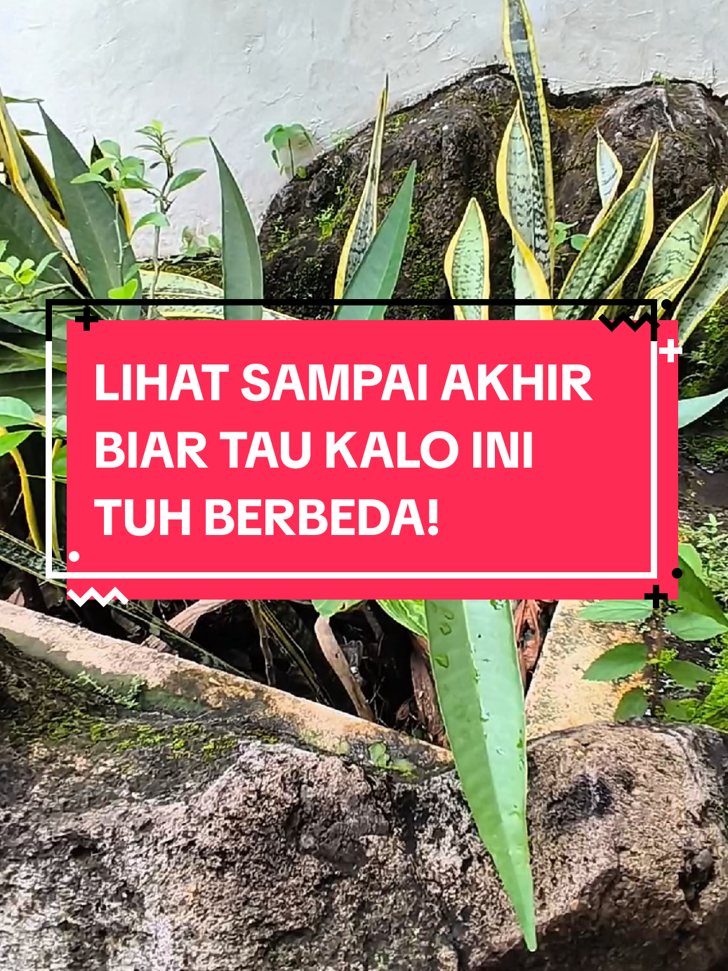 Gak cuma marketing aja deh, pokoknya langsung checkout dan review sendiri produk dari Solusi Autocare 🛍️ Bikin mobil dan motor kamu mengkilap dengan menggunakan Instan Coating by Solusi Autocare 💡✨ #perawatanmobil #pengkilapmobil #solusiautocare #viral #fyp 