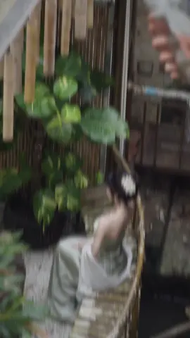 tung của hôm 🍵 #CapCut 