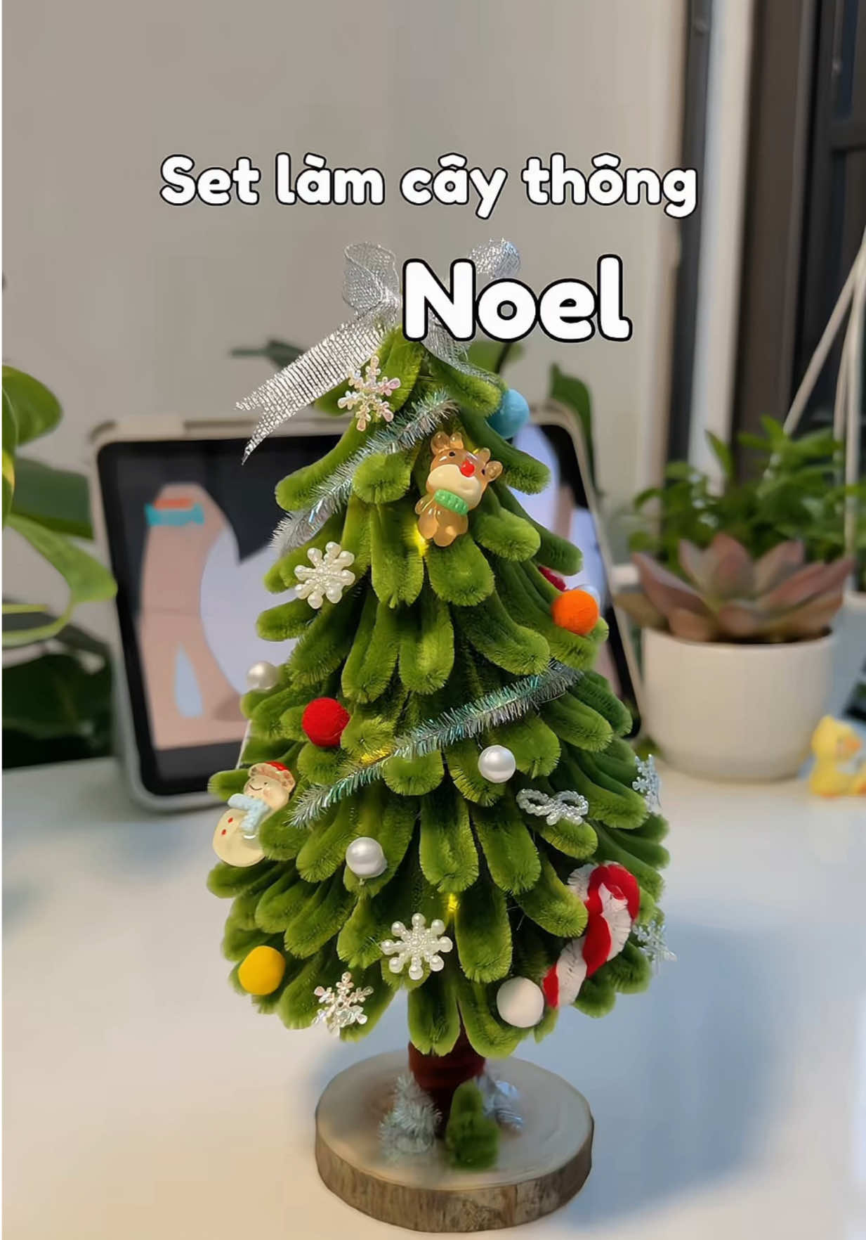 Set làm cây thông noel #noel #giangsinh #christmas #giangsinh2025 #caythongnoel 