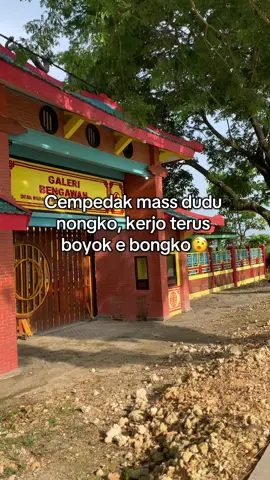 Bongkooo moass #fyppppppppppppppppppppppp #foryoupage #xybca 