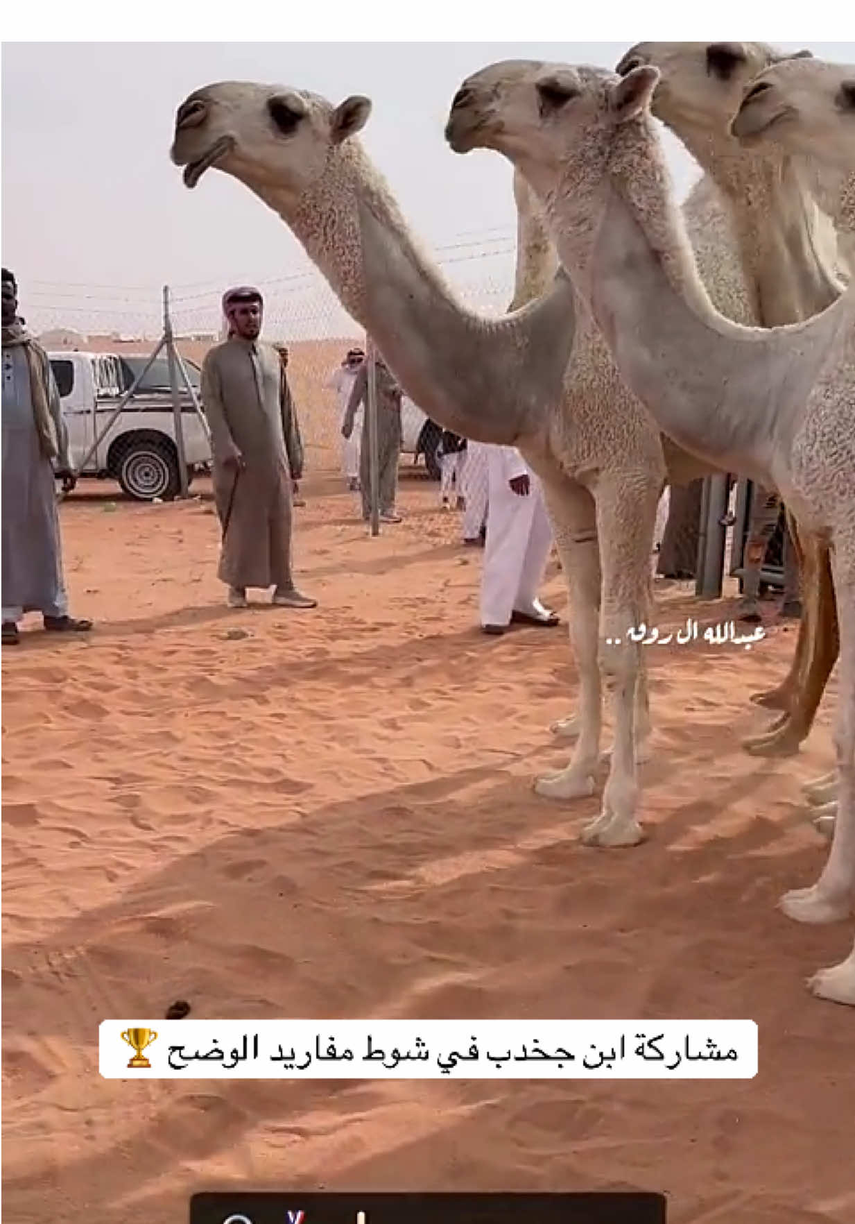 مسراح ابن جخدب المعتاد 🥇🔥☝🏼.. - - #مفاريد #نوادر_الجزيرة #الوضح #ابن_جخدب #اكسبلور 