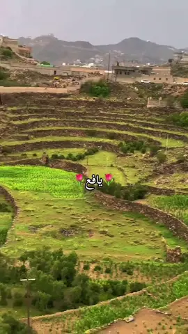 وإن طال الفراغ ❤️‍🩹 يوماً ما سنعود  ونعوض كل ما فاتنا 🙂🙂🙂 #يافع_الساحره_بجبالها #مناظر_طبيعيه  #الشعب_الصيني_ماله_حل😂😂  #مشاهدات #لايك_متابعه_اكسبلور 