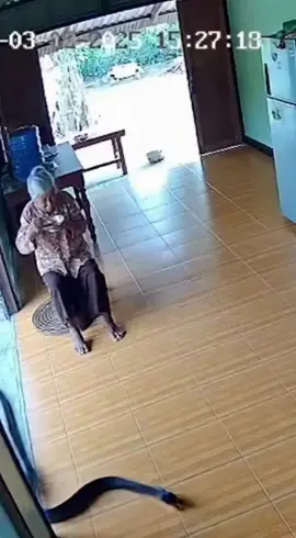 งูหรอ หมับเข้าให้ กลัวชะที่ไหน #ยาย #งู #ตลกๆ #ขำๆ #foryou