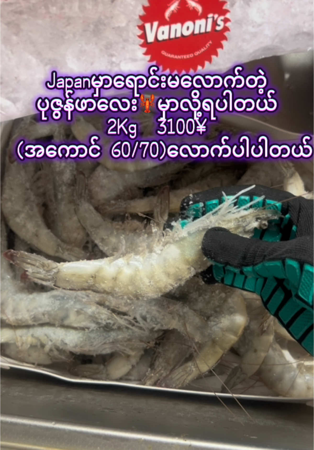 #ဈေးနှုန်းလေးတွေရေးပေးထားတာမလို့လိုချင်တာရှိFbacc/Tiktok accဖြစ်လာမှာလို့ရပါတယ် ပုဇွန်    ¥3100 သရက်သီး   (3)လုံး  1200 ဂွေးသီးတစ်ထုပ်     550 ဘဲသွေး   1ဗူး    300 (5)ဗူးယူ250 ဘဲကင်အကောင်လိုက်2000 #japanesefood #followers #japanရောက်မြန်မာမလေး🇯🇵🇲🇲🌻 