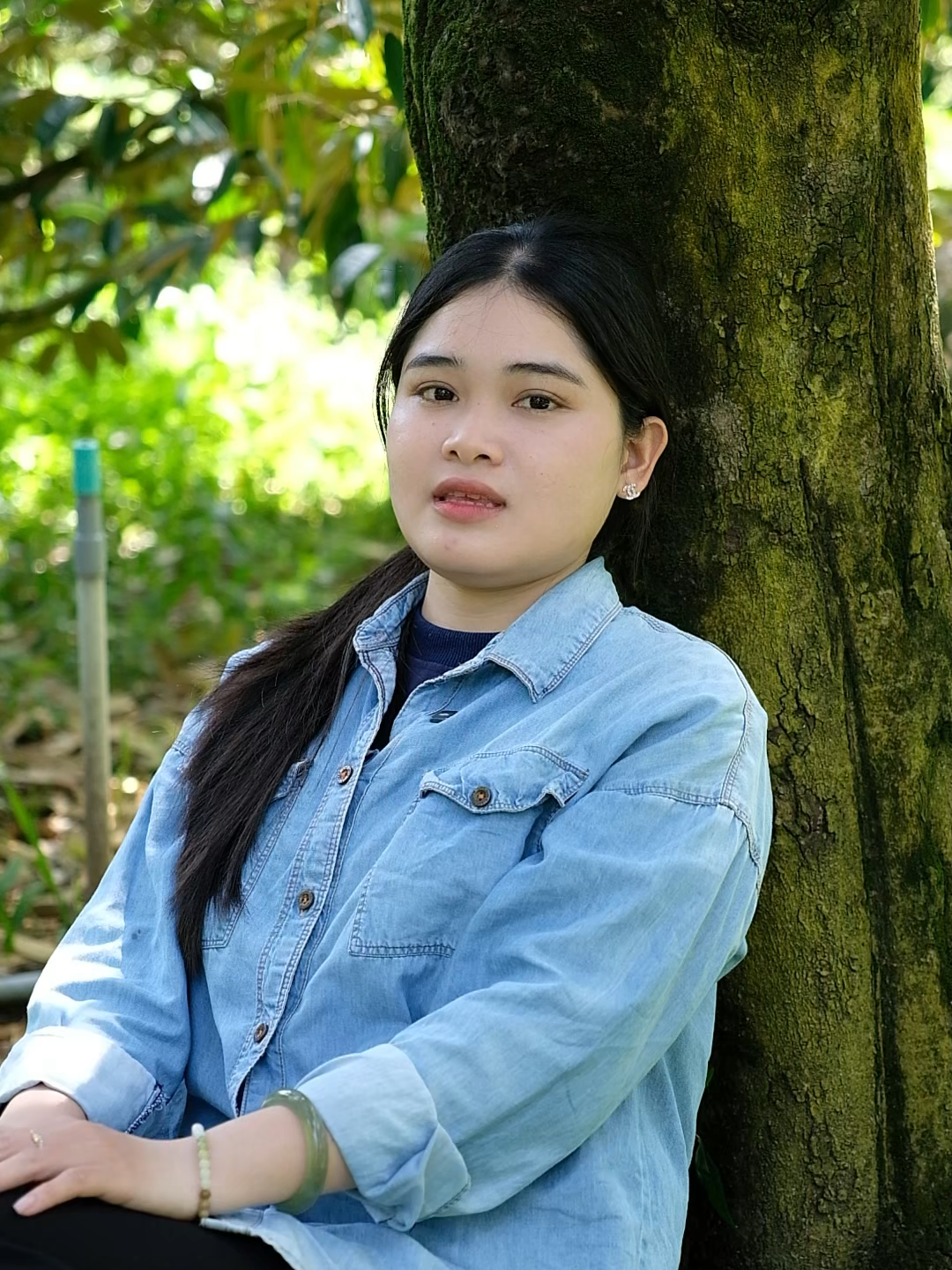 Phục hồi vườn cây sau thu hoạch như thế nào là đúng? Anh chị tìm hiểu cùng em nha! #Giaiphapchonongdan #nongnghiepphanthanh #saurieng  #huuco #conongdanvui #cayanqua  #nongnghiep #nongnghiephiendai #mit  #phuchoisauthuhoach