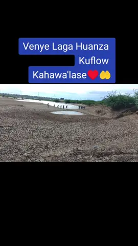 Venya Kichwa Ya Laga Utokea Kwetu Kahawalase♥️🤲✅#fy #turkana#turkanatiktokers🥰 #turkana