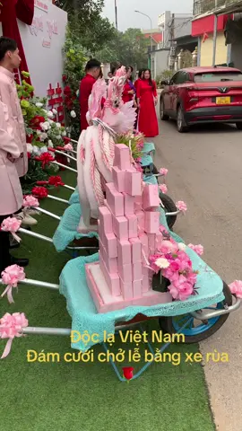 ĐỘC LẠ VIỆT NAM 🌹🌹