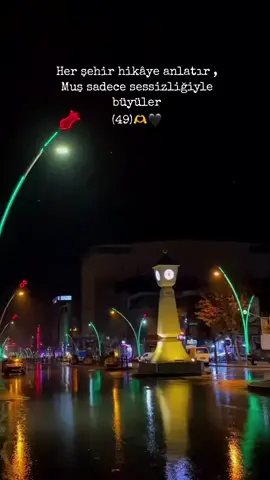 🖤🫶 #fyppppppppppppppppppppppp #muşlu49 #49 #muşlu #muşmerkez 