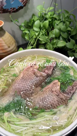 Thay vì luộc rau và kho cá thì nấu luôn tô canh cá rô với bầu vừa ngon ngọt thanh mát lại nhanh nữa #xuhuong #xuhuongtiktok #viral_video #viralvideo 