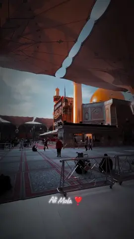 Mola Ali Mola ❣️#yaali #molaalimadad #yaalimada #viral #foryou 