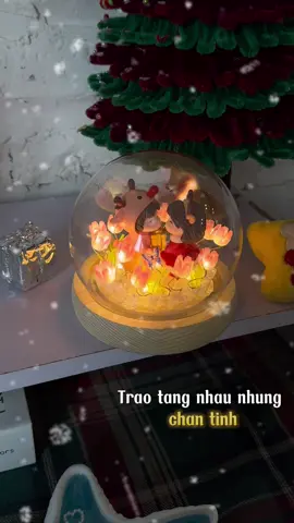 Đèn Giáng Sinh DIY nhỏ xinh, lắp vài phút là sáng lung linh. Decor phòng ấm áp, tặng bạn bè hay người yêu đều siêu dễ thương 🎄💡✨ #DenGiangSinhDIY #NoelXinh #DecorNoel #TiệmHoaMiMi #diychristmas 