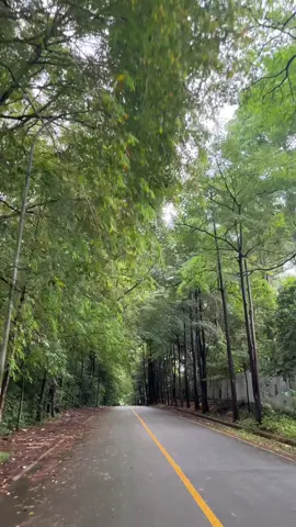 adem aja bawaannya lewat jalan ini#nuvasabaybatam #batam #batamhits 