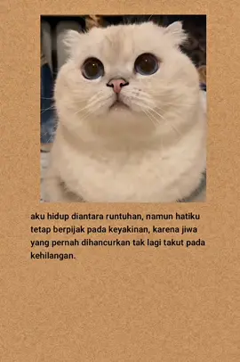 #katakatasedih #katakatabijak #fyp #viral #laguindia 