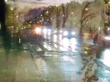 DON'T mind the misspell near end of video. #stevelacy #ryd #fyp #fypシ #music 