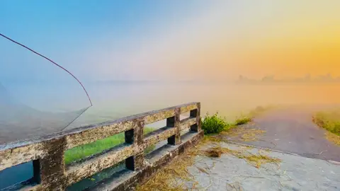 শীতের কুয়াশার মতোই তুমি চোখে ধরা পড়ো না, তবুও চারদিকে ছড়িয়ে থাকো,,😊❤️‍🩹#foryou #foryoupage #trending #tiktok #fyppppppppppppppppppppppp 