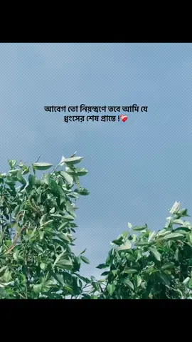 আবেগ তো নিয়ন্ত্রণে তবে আমি যে  ধ্বংসের শেষ প্রান্তে !❤️‍🩹#foryou #trending #banglacaption #popularvedio #captionvedio 