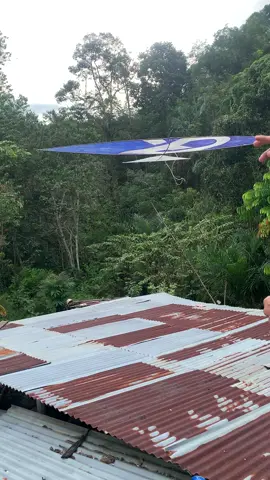 XD #layangantak #layangdarek #dharmasraya #layangsumbar 