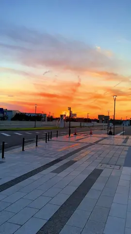 Đông đến rồi ở phương xa nhớ mặc ấm em nhé.!#hoanghon #tamtrang #viral #xuhuong #phanmanhquynh 