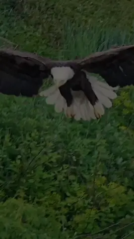 #CapCut  #quotes #foryou #foryoupage #