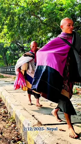 Thật đẹp, thật an lạc 🥰🥰🥰 #xuhuong #thichminhtue #gaimienque ☘️🌸