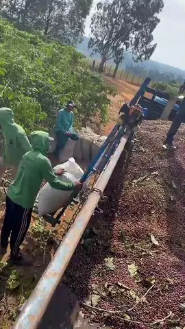 #pppppppppppppppppppppppppppppppppppppppppppppppppppppppppppppp 