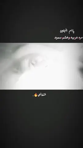 #امجد_الشغانبي  #ياام_البنين  #العباس_عليه_السلام  #الساقي_ابا_الفضل  #موكب_سيوف_الامام_المهدي_السماوة 