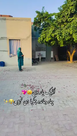 #dil rajya hi nahi🥺@Mursaleen-Sandhu🇬🇧🇵🇰 #fyp #viral 