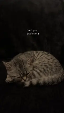 سُبْحَانَ ٱللَّٰهِ  #tilawat_y_quraan_y_paak #سُبْحَانَ_ٱللَّٰهِ_ٱلْحَمْدُ_لِلَّٰه �  #quran #islam #muhmmad_s_a_w 