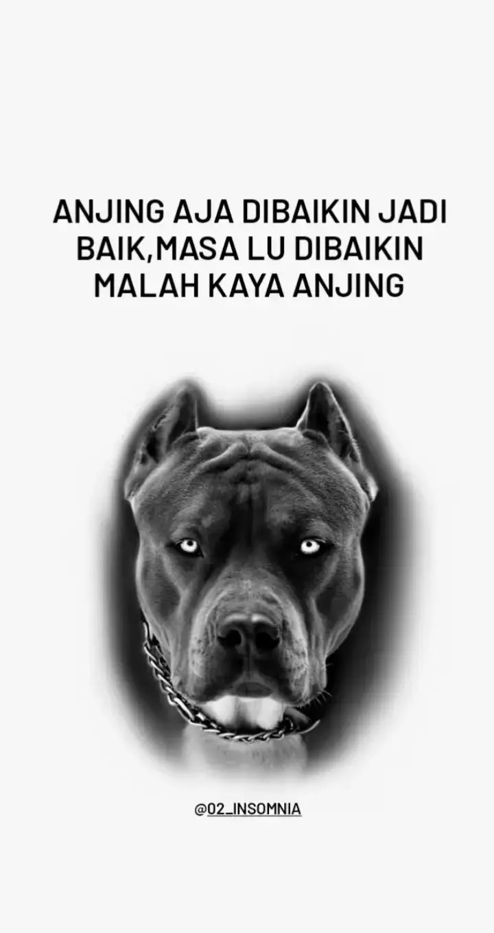 #fyp #fypppppppppppppp #xyzabc #02_insomnia 