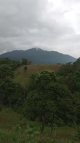 luuuuueeeeeeekkkkk Kon baleeeeekkkk