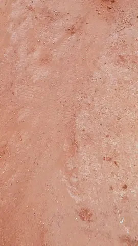 dadi Ireng glossy #fypシ゚ #kuliproyek #storytime #tuban24jam 