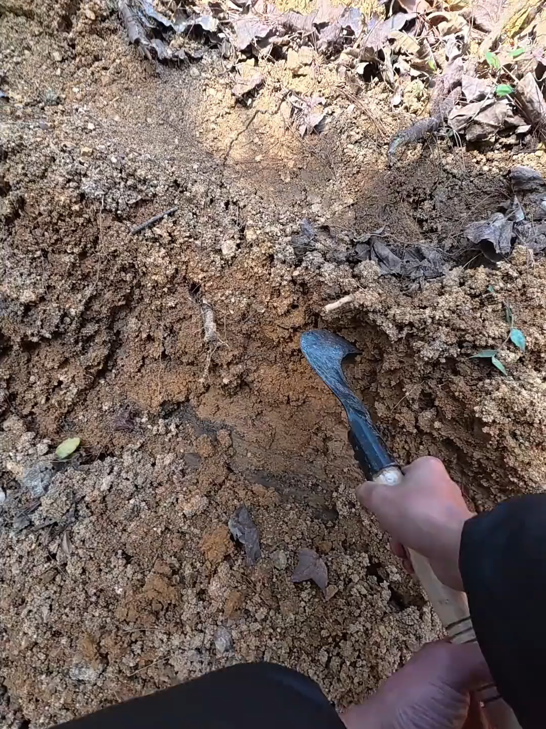 #fishing #cauca #caucatunhien #sanhangtunhien #moicauchep